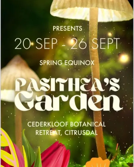 PASITHEAPROJECTS.COM
Learn More
 