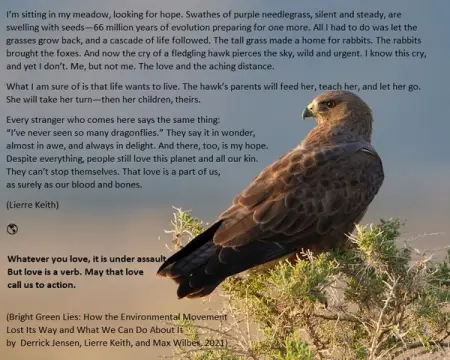 BRIGHT GREEN LIES. A Must Read 

The spoken question may be How can we live sus