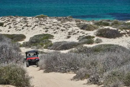 Experience the East Cape of Los Cabos with an adventure-filled getaway. Enjoy a nightl
