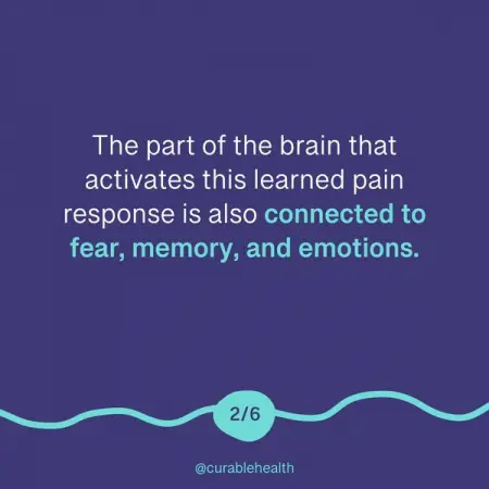 CURABLEHEALTH.COM
Try Curable Free  Reset the Nervous System

Learn More
