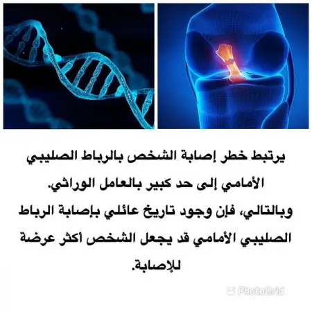       .   .                 .

 _  _ _ physiotherapy  _ __  sport gym groi