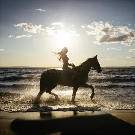 The tans will fade, but the memories will last forever, so keep chasing the sun