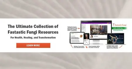 Whats included in the Impact Kit? 

 Get an insiders view into therapeutic mushro