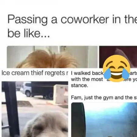 Here are some online jokes that will brighten everyones day in a matter of minutes.
FU