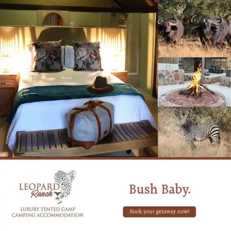 Bush baby.
If youve been huddled up in your winter woollies for what seems like months, its 