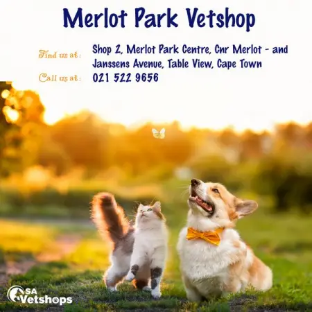 Perfect solutions for your furred friends. SAVetshops is a group of Ve