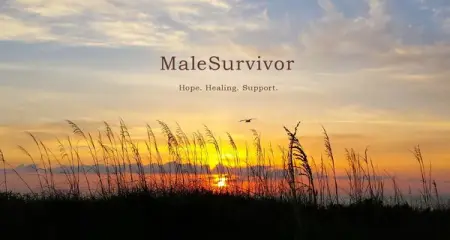 MaleSurvivor is committed to preventing, healing, and eliminating all for