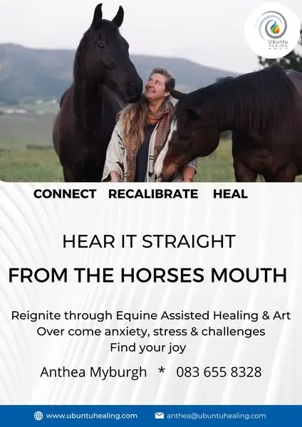Horses offer you a unique opportunity to heal through difficult and challenging emo