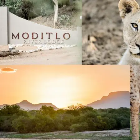 MODITLO.COM
Book your Stay at Moditlo
Book Now
 