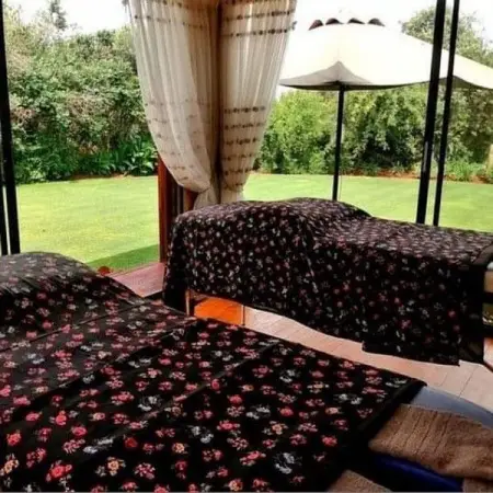 ZENSAI.CO.ZA
Alternative Healing
Send Message
 