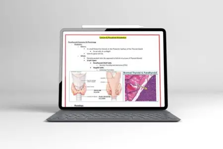MEDSTUDENTNOTES.COM
Immediate Delivery
Shop Now
 