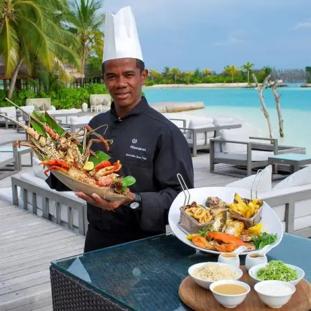 BIT.LY
  
 
Book Now
 