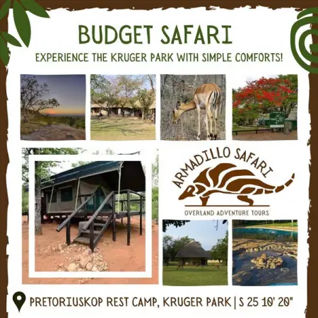 Enjoy an Armadillo Safari Tour with the simple comforts of a Traditional Hut, Saf