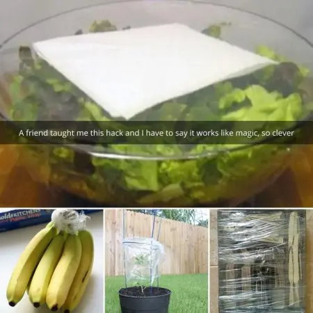 Heres a long list of things people can accomplish by using the seemingly uni-