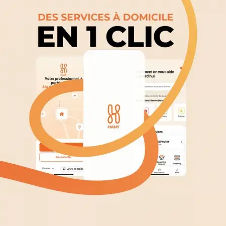 Hany est une application 100 marocaine qui vous permet daccder  un ensemble dexperts.