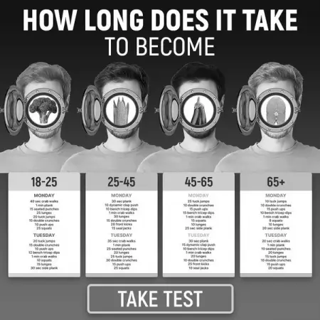  Crez un programme alimentaire personnalis bas sur lIMC, le poids, la taille, lge, lact