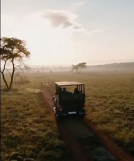 AFRICANHILLSLODGE.CO.ZA
Game Drive
Spring Leisure Special 
Spring Leisure Special 