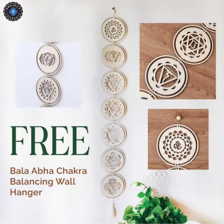  For over 2000 years in the Hindu and Buddhist cultures, sacred symbols have r