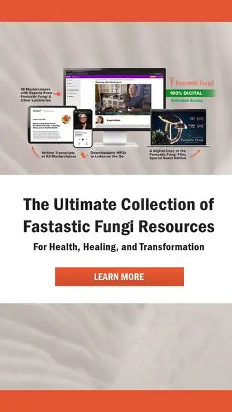 We wanted to give you a way to learn more about medicinal mushrooms, cooki