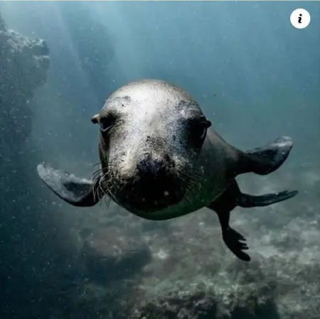           .

Adventure below the water without getting wet and take a look into 