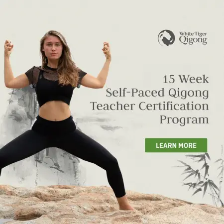 Enrollment for the 5 Element Master Course and Teacher Training is CLOS