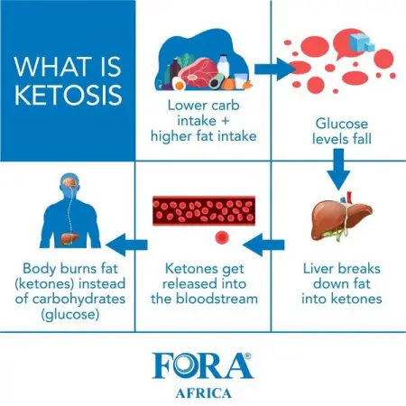 HTTPSFORACARE.CO.ZASHOP
Ketosis Explained
To understand if youre truly in ketosis, 