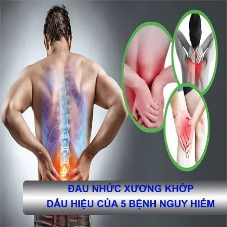  TIN VUI CHO B CON ANG MC CC BNH V XNG KHP
 T PH Y HC C TRUYN KT HP CNG NGH HIN 