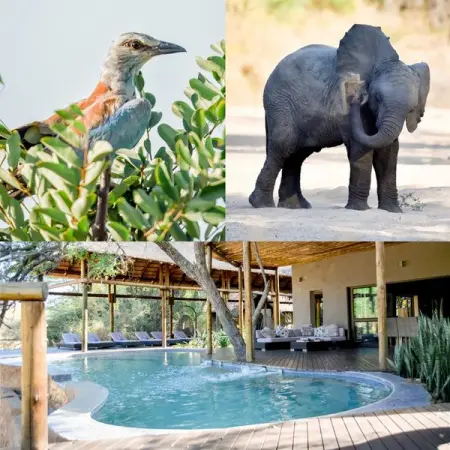 MODITLO.COM
Authentic Wildlife Encounters
Book Now
 