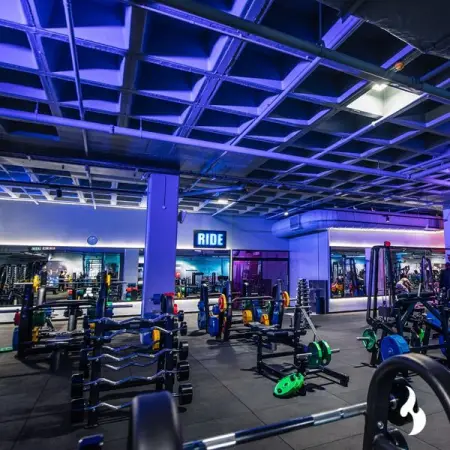 A hidden and huge gem in Rosebank, at 50 Bath Street, sits our sweat seekers pl