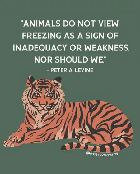 Repost from mtmvcommunity

This came up in my on-this-day archive and its t