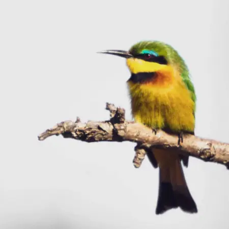 CHEETAHRIDGE.COM
Pensioners Package
KZN near the Drakensburg
Learn More
KZN n