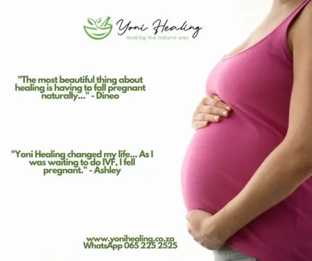 API.WHATSAPP.COM
The TTC Journey
Send WhatsApp Message
 