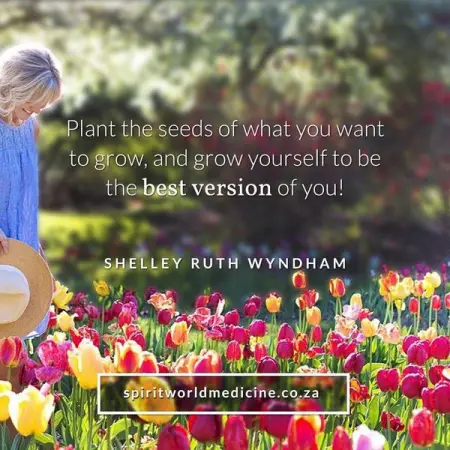 We offer phenomenal dynamic tailored six month, and also a one year  twelve month  prog