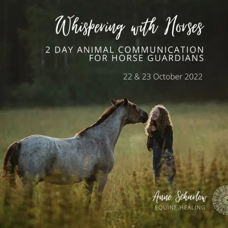       

Oh how much I love to facilitate this course. To guide humans ge