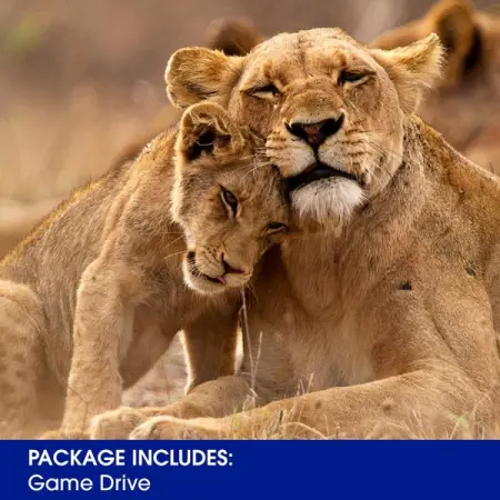 FIRSTGROUP-SA.CO.ZA
Get outdoors and explore the wild side of SA
Book Now
 
