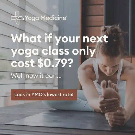 YOGAMEDICINE.COM
79 Yoga Classes Use YOGAFORLIFE at checkout
Sign Up
 