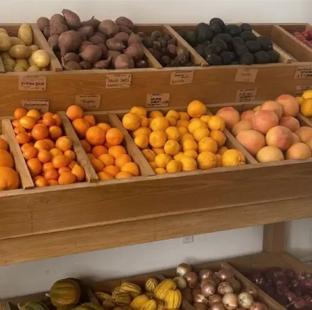 Foods with natural enzymes to aid gut health

Pineapple
Papaya
Kiwi
Kefir 