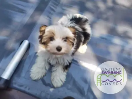 We manufacture solid PVC safety swimming pool covers for Gauteng in various shapes, s