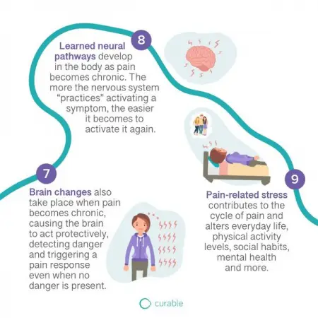 CURABLEHEALTH.COM
View More Free Pain Resources
Curable offers free podcasts, pain education