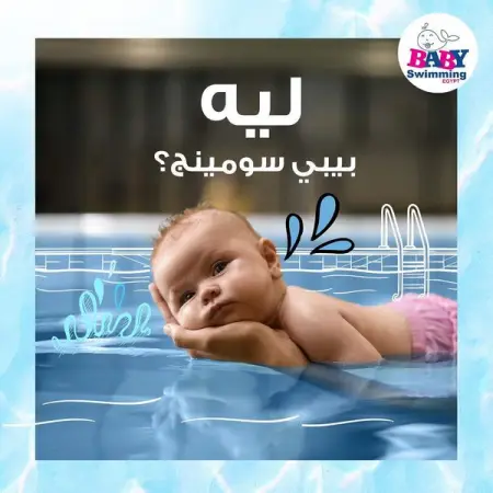       

        6             !

      3000    3000     .
             .

         17       