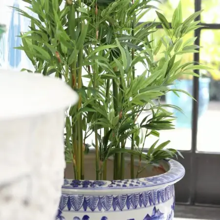 Were all about that evergreen life. 

Add these beautiful pops of colour to your hom