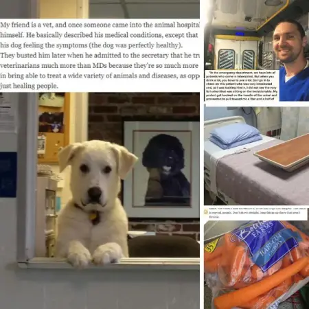 I went through 12 years of medical school, and now Im covered in blood and urine People s