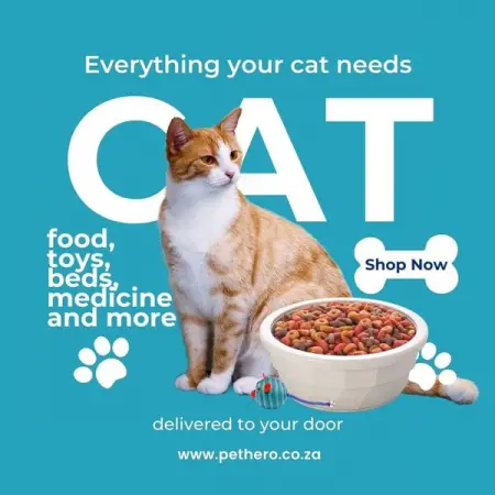 PETHERO.CO.ZA
Buy cat products
Spoil your furry friend
Shop Now
Spoil your furry