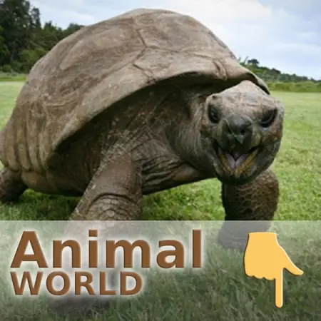 Welcome to Wild Pet Animals. Please Likefollow Facebook page 
We make educational document