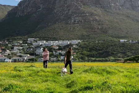 Our natural, hand-made Give a Dog a Bone  Cat of the Day raw pet food combines