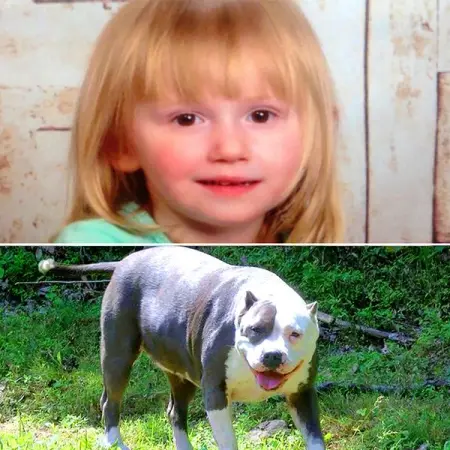 Charlee Campbell and her pet dog went missing for two long days. Then, just
