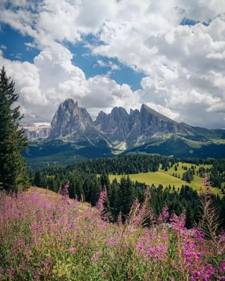 No words needed



hiking photography dolomites mountains sdtirol italy
INSTAGRAM.CO