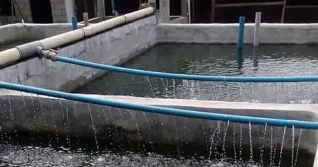 We are into agricultural farming such as fish production, feed production, p