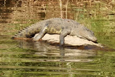Join us for a boat trip in the 3rd largest Canyon in the world - Blyde Canyon. The 90 m