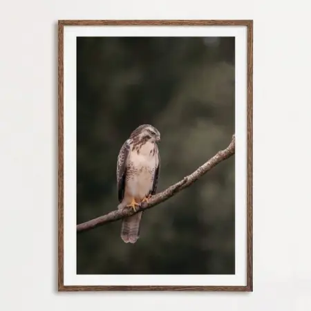 THOMASFRENKEN-GALLERY.DE
Professionally Curated For You
The darker tones of the ar